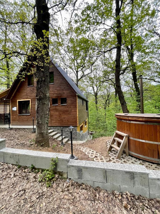 Apartmán Toelgyes Menedek Noszvaj Exteriér fotografie